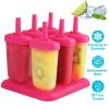 Reusable Plastic Popsicle Mold For Homemade Iced Snacks